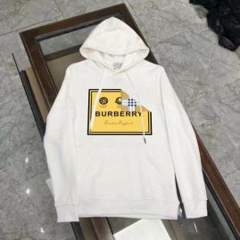 Picture of Burberry Hoodies _SKUBurberryM-5XLkdtn4710242